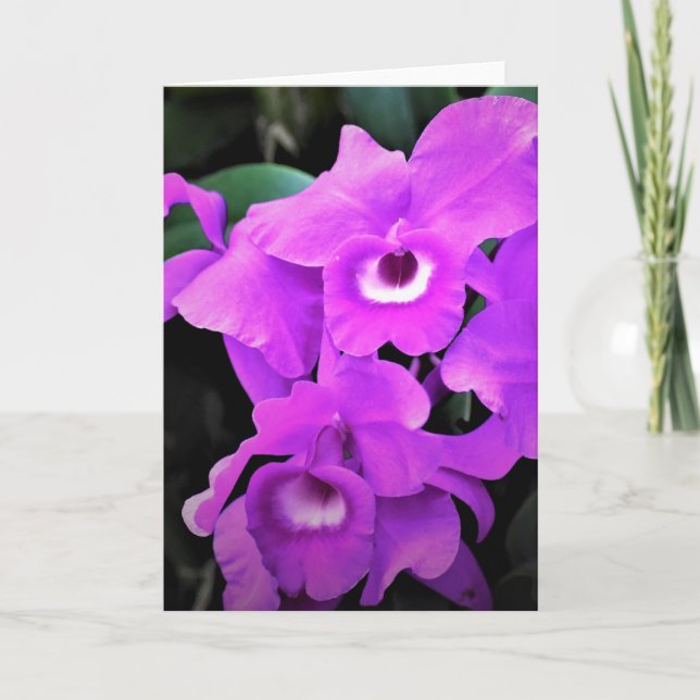 Orquídea, cartão (Frente)