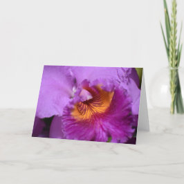 Orquídea, cartão