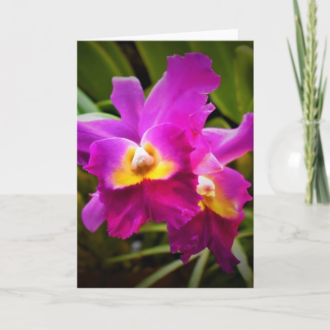 Orquídea, cartão (Frente)