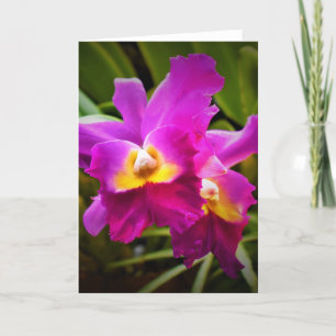 Orquídea, cartão