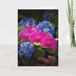 Orquídea, cartão