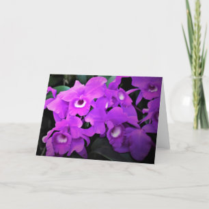 Orquídea, cartão