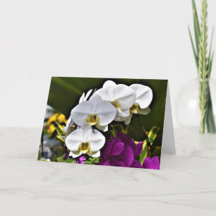 Orquídea, cartão
