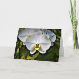 Orquídea, cartão