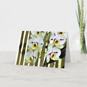 Orquídea, cartão