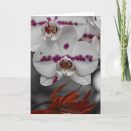 Orquídea, cartão