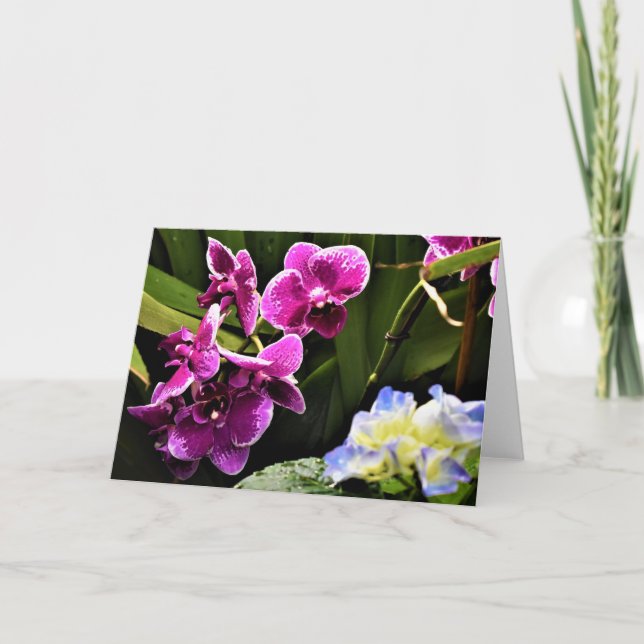 Orquídea, cartão (Frente)