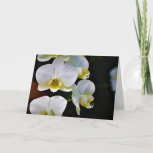 Orquídea, cartão