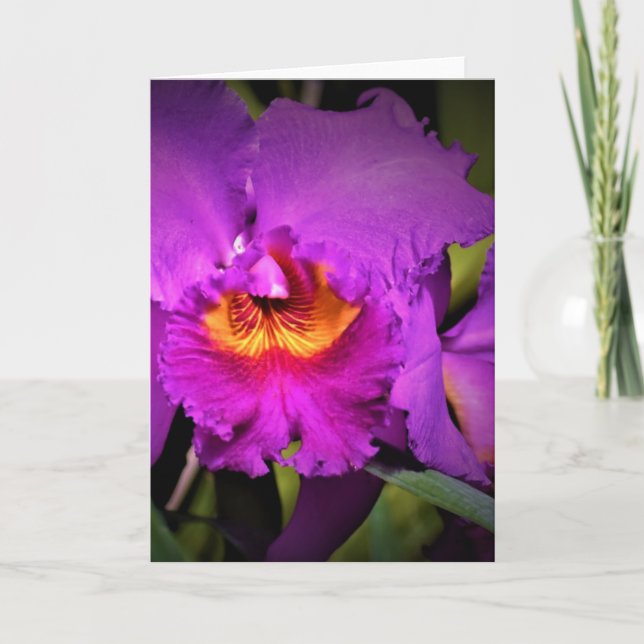 Orquídea, cartão (Frente)