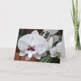 Orquídea, cartão