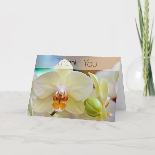 Orquídea • Cartões de agradecimentos (Frente)