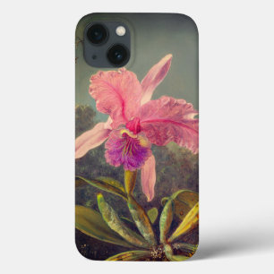 Orquídea de Cattleya e três beija-flores