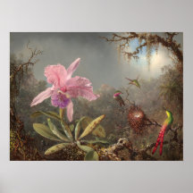 Orquídea de Cattleya - Poster de Arte Bela de Mart