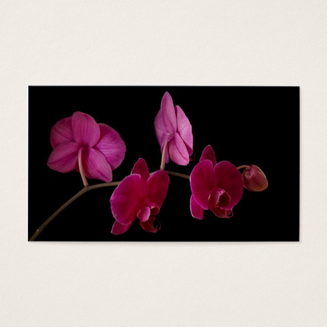 Orquídea de Dendrobium rosa a preto - personalizad (Frente)