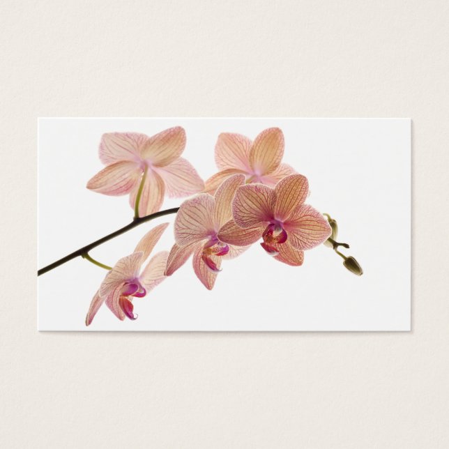 Orquídea de Dendrobium Rosa e Pêssego - Personaliz (Frente)