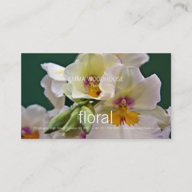 Orquídea do Miltonia • Cartão de visita (Frente)
