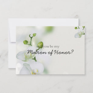 Orquídea Elegante Suave Será Minha Matriz de Honra