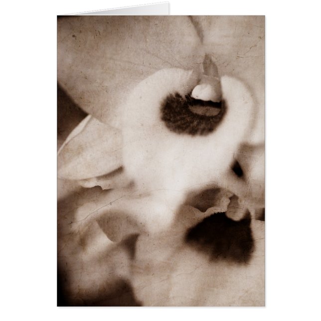 Orquídea gótica - Cartão (Frente)