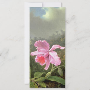 Orquídea Martin Johnson Heade e beija-flores