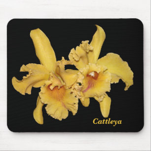 Orquídea Mousepad de Cattleya