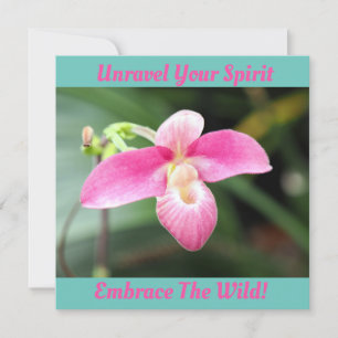 Orquídea rosa adorável