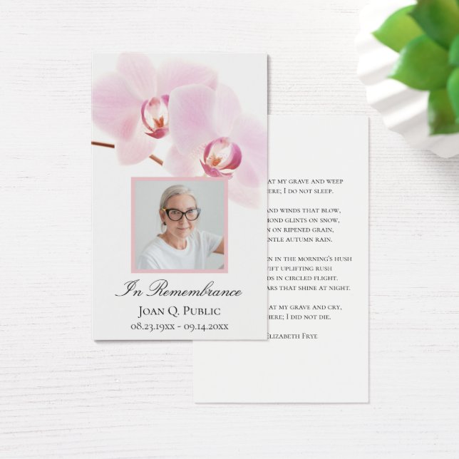 Orquídea Rosa Flores Brancas Orquídea Orquídea Orq (Mesa)