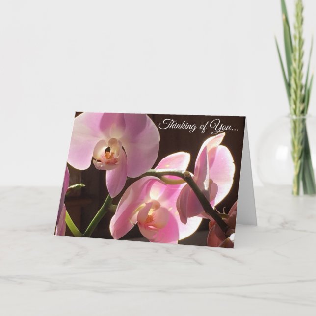 Orquídea Rosa Pensando em Você Cartão em Branco Po (Frente)