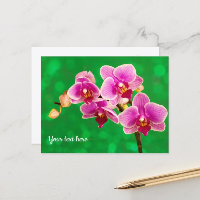Orquídea Roxa em Cartão Postal Verde (Frente/Verso In Situ)