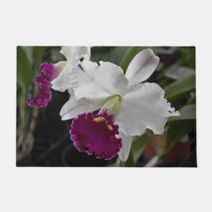Orquídea Tapete Branco Roxo