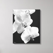 Orquídeas 16X20 em Arte Preta e Canvas