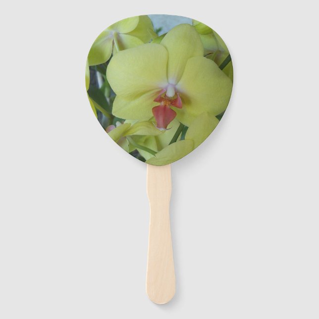 Orquídeas amarelas em um leque manual (Frente)