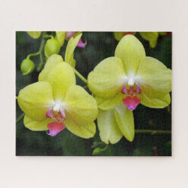 Orquídeas Amarelas - Quebra-cabeça
