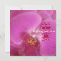 Orquídeas Banquet / Convites de casamento Orientai