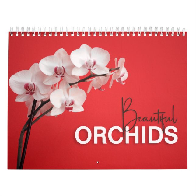 Orquídeas Bonitas com Calendário de Parede do Note (Capa)