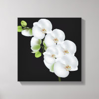 Orquídeas Brancas de Parede canvas