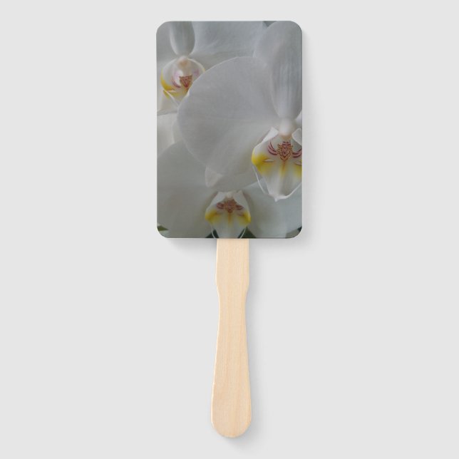 Orquídeas brancas em leque personalizável (Frente)