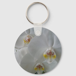 Orquídeas brancas impressionantes em um chaveiro