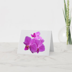 Orquídeas da Fúchsia em um Cartões de agradeciment