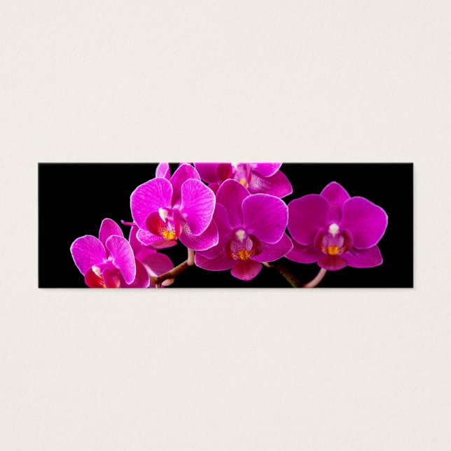 Orquídeas de Flor Dendrobiana Rosa Quente Modelo (Frente)
