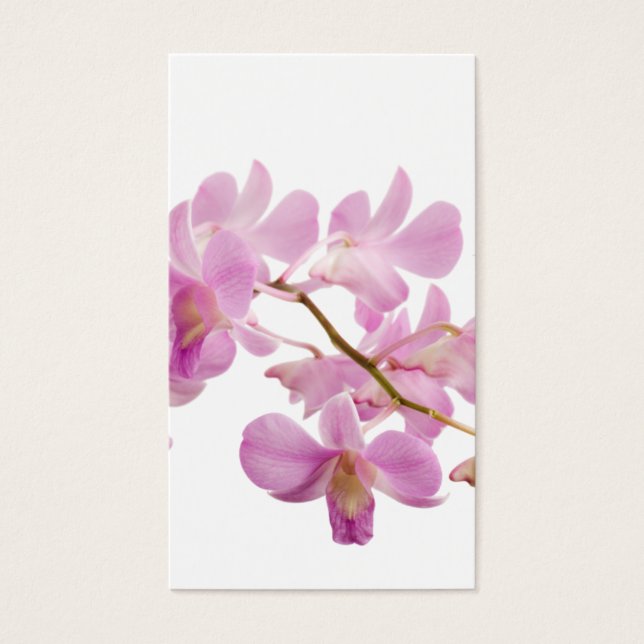 Orquídeas de Flor Dendrobiana Rosa Quente Modelo (Frente)
