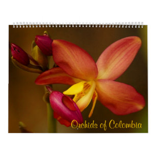 Orquídeas do calendário 2014 de Colômbia