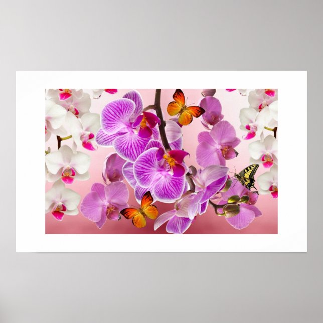 Orquídeas e Borboletas Poster (Frente)