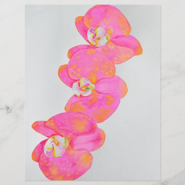 Orquídeas elegantes em tons de rosa e laranja em a (Frente)