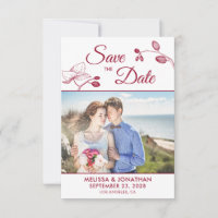 Orquídeas elegantes, fotos florais modernas salvam