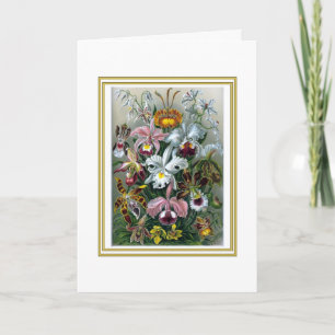Orquídeas Elegantes por Cartão de Saudação Haeckel