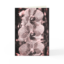 "Orquídeas Noturnas" Cartão de Saudação Dobrado
