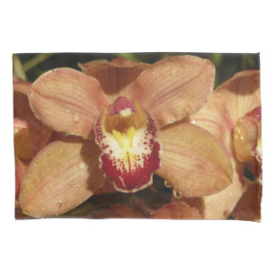 Orquídeas Pêssego com Flores de Gotículas de Chuva