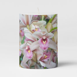 Orquídeas Rosa