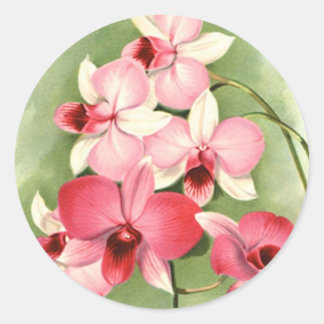 Orquídeas Rosa - Adesivo