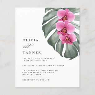 Orquídeas Rosa-Quente do Orçamento em Monstera Tro